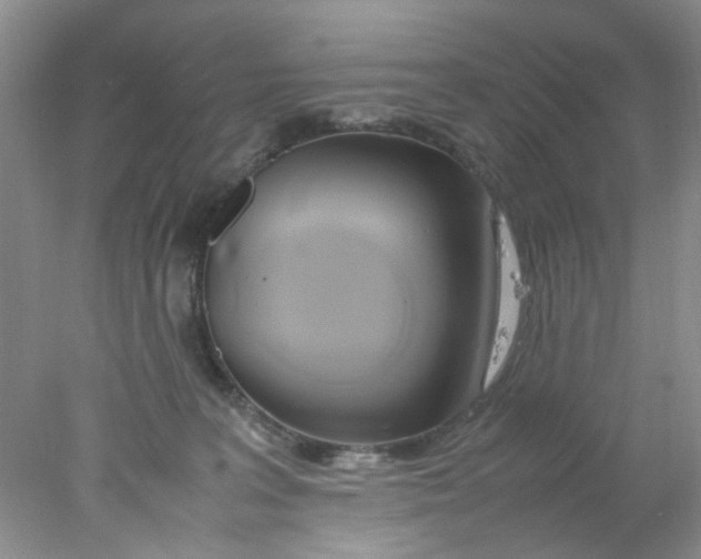 X0000078020227200611171921