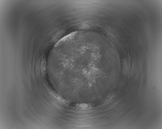 X0000078020230200611171921