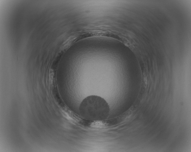 X0000078020231200611171921