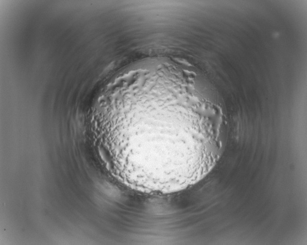 X0000078020232200611171921