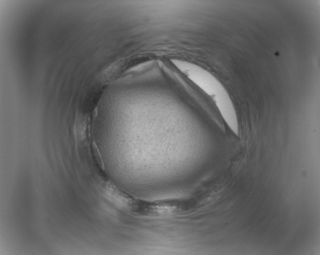 X0000078020233200611171921