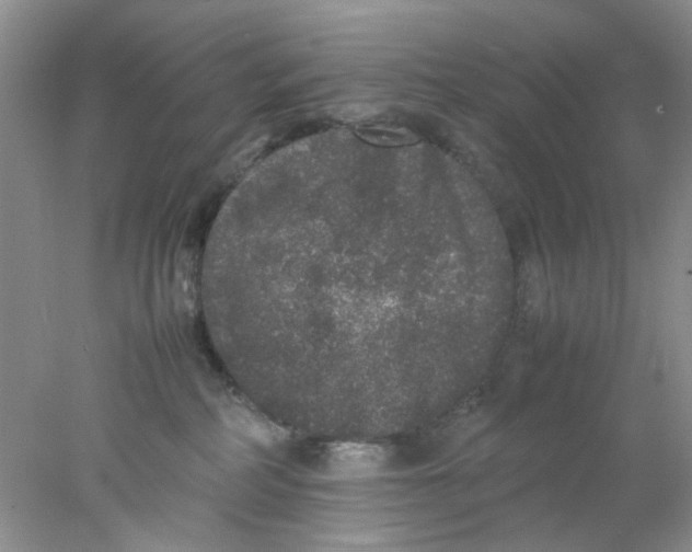 X0000078020234200611171921