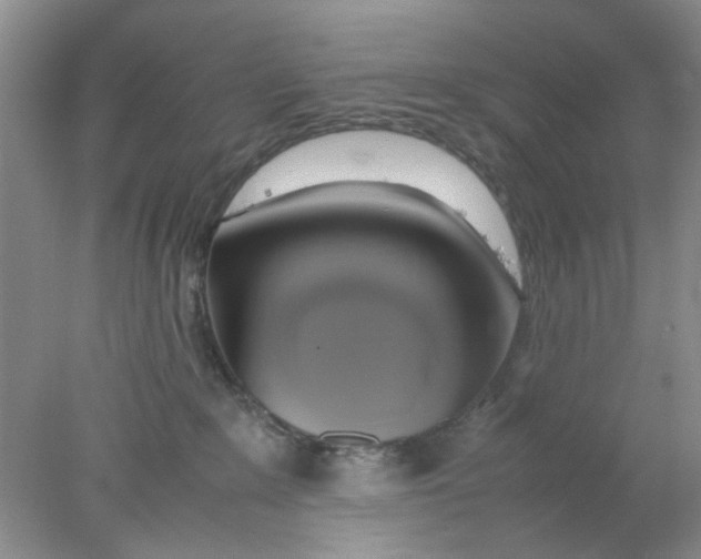 X0000078020235200611171921