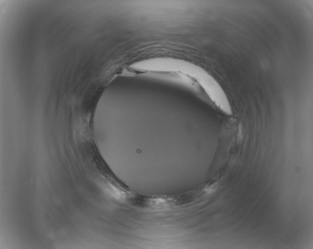 X0000078020239200611171921