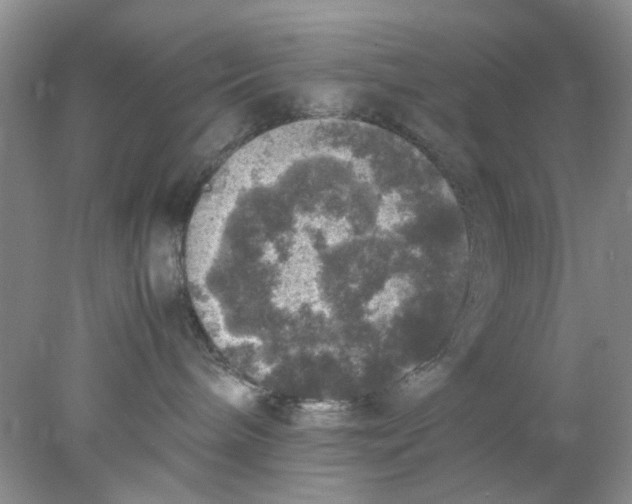 X0000078020240200611171921