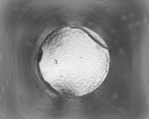 X0000078020241200611171920