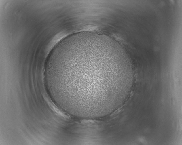 X0000078020242200611171920