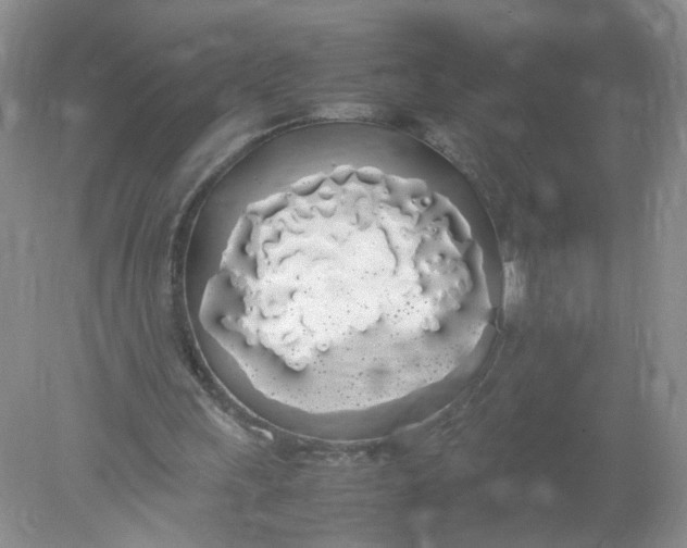 X0000078020243200611171920