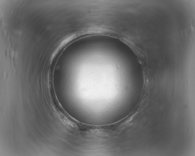 X0000078020244200611171920