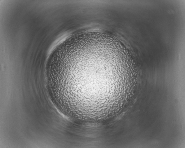 X0000078020245200611171920