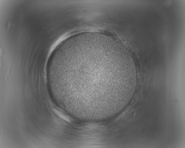 X0000078020246200611171920