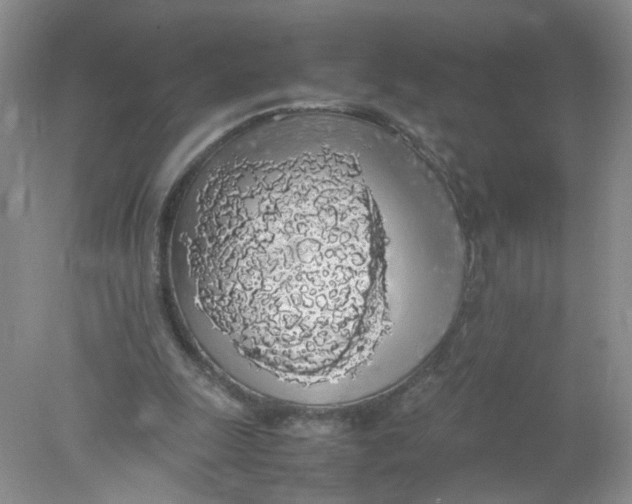 X0000078020247200611171920