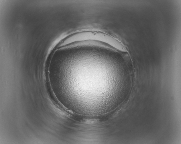 X0000078020248200611171920