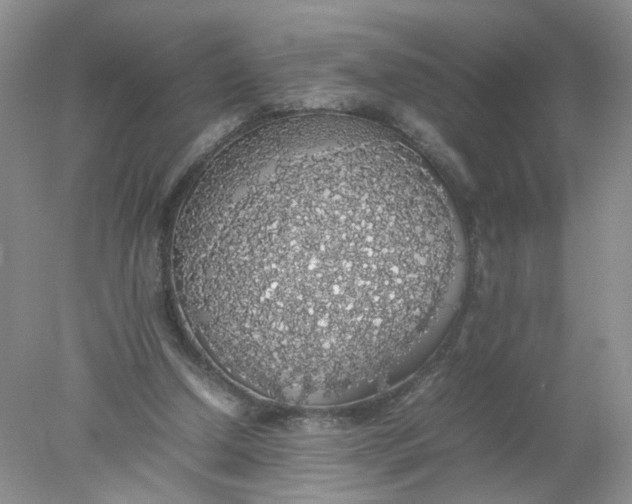 X0000078020250200611171920