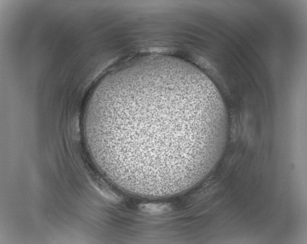 X0000078020251200611171920