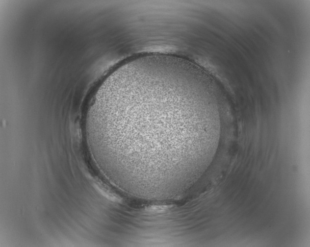 X0000078020252200611171920