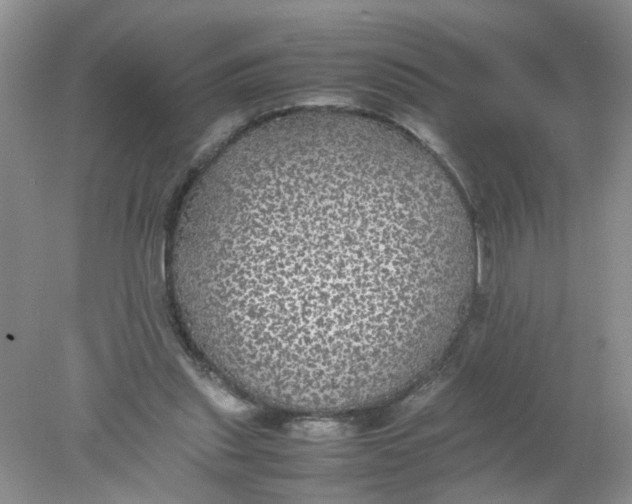 X0000078020253200611171920