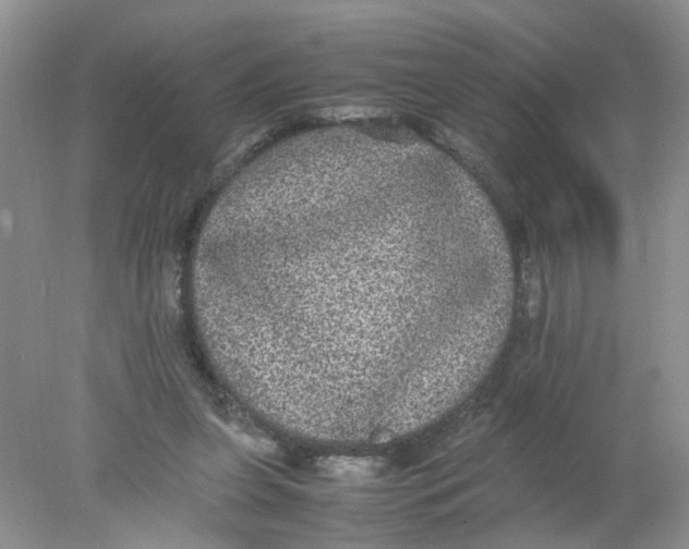 X0000078020255200611171920