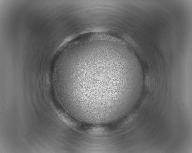 X0000078020256200611171920