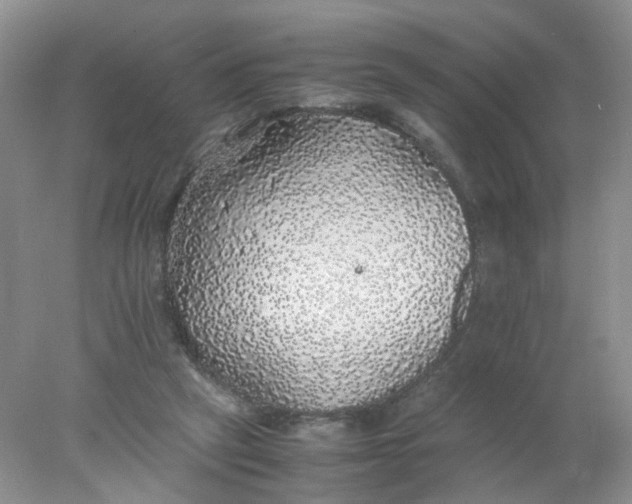 X0000078020257200611171920