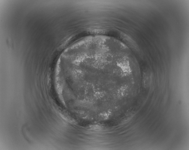 X0000078020259200611171920