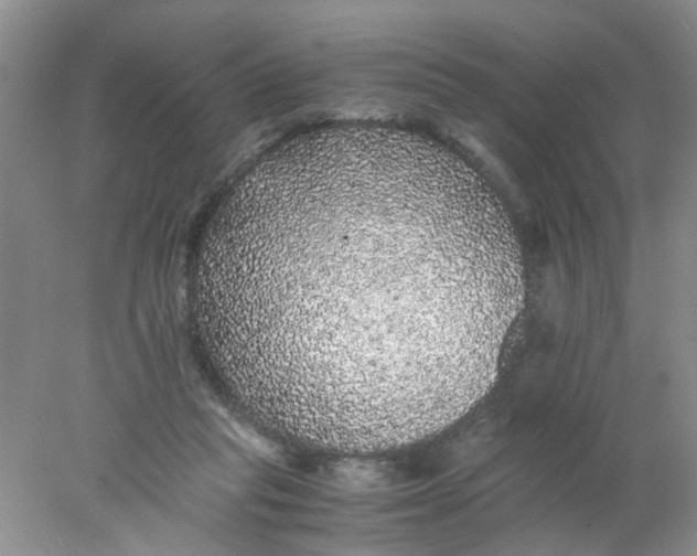 X0000078020261200611171920