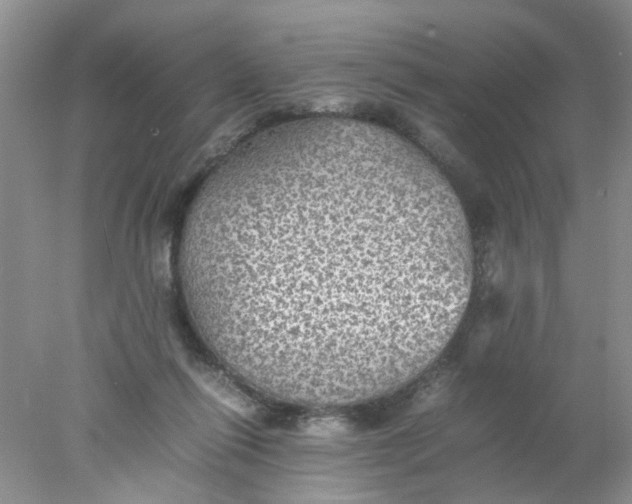 X0000078020262200611171920