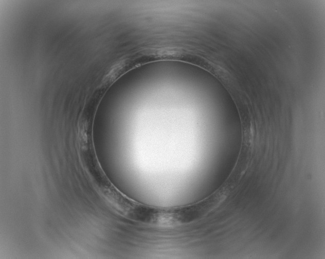 X0000078020264200611171920