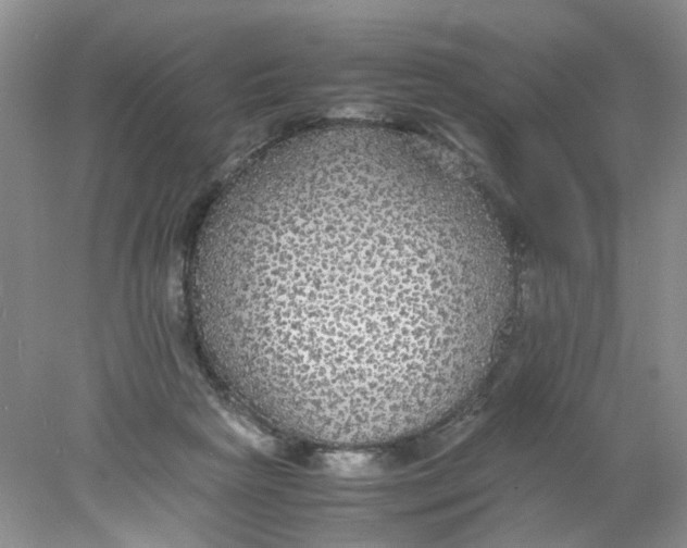 X0000078020265200611171920