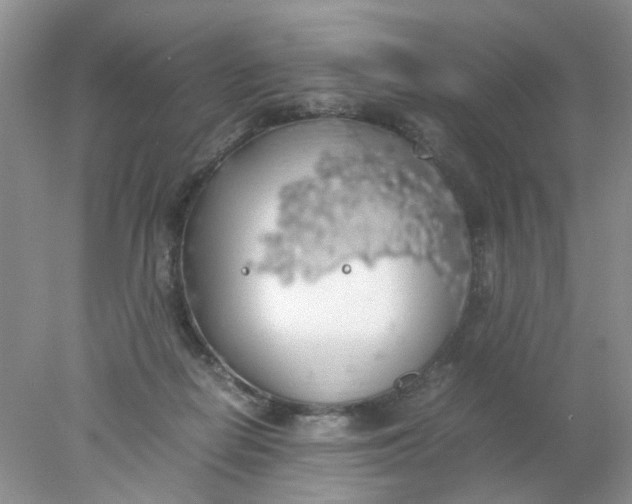 X0000078020266200611171920