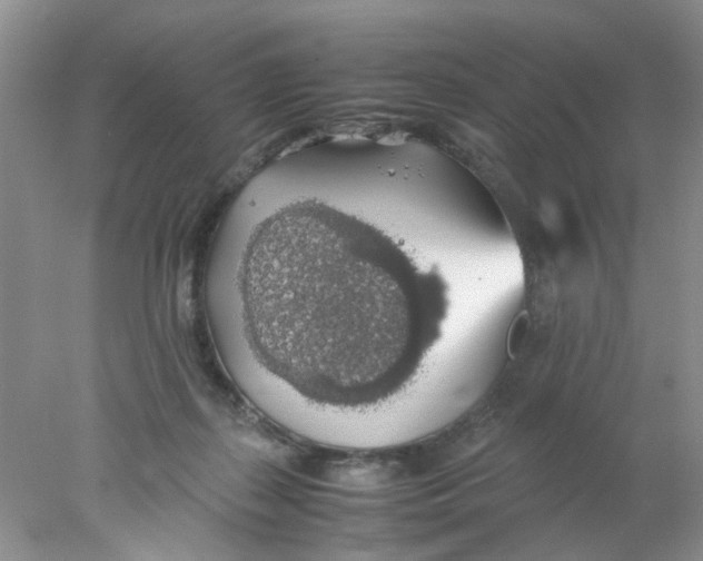 X0000078020267200611171920