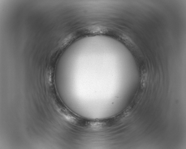 X0000078020268200611171920