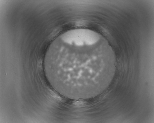 X0000078020269200611171920