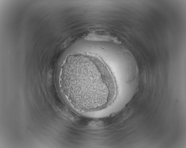 X0000078020271200611171921