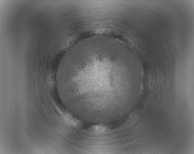 X0000078020272200611171921