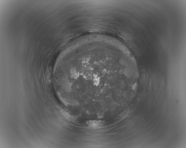 X0000078020273200611171921