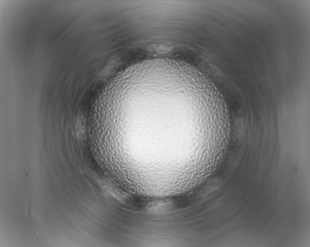 X0000078020274200611171921