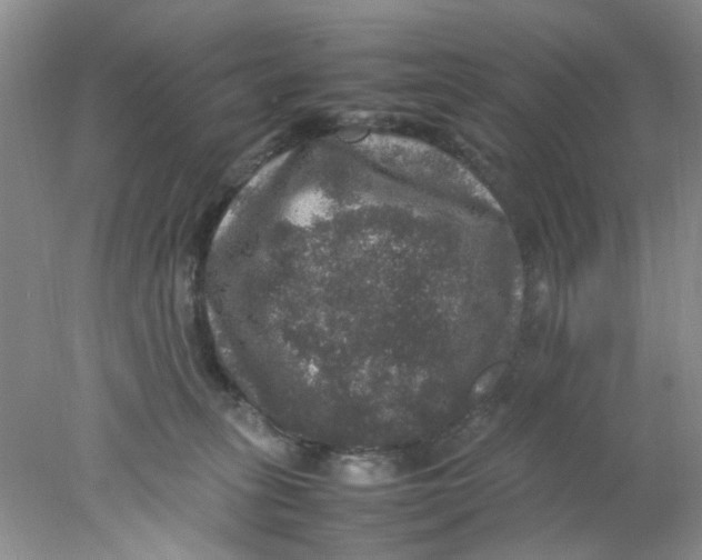 X0000078020275200611171921