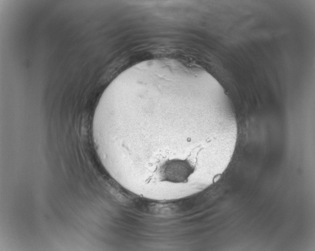 X0000078020277200611171921