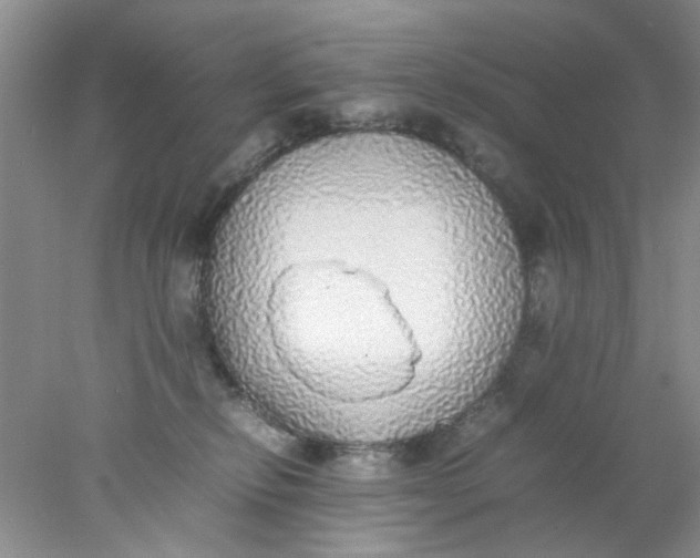 X0000078020278200611171921