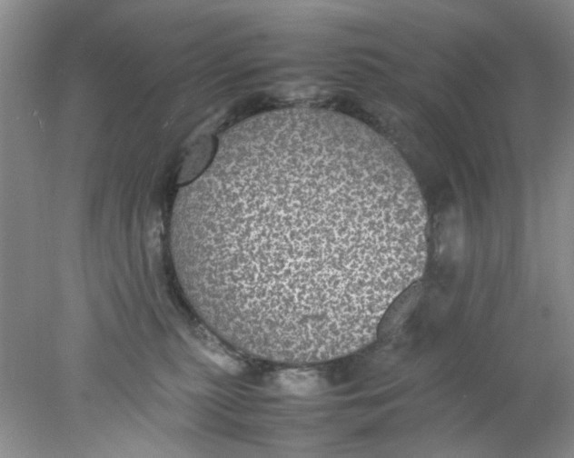 X0000078020279200611171921