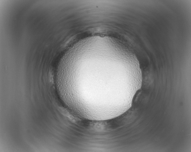 X0000078020282200611171921