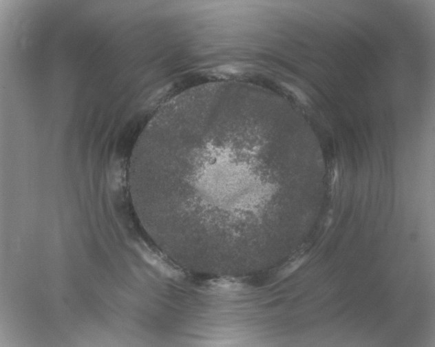 X0000078020284200611171921