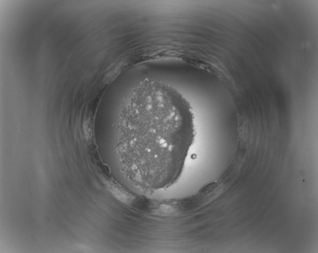 X0000078020285200611171921