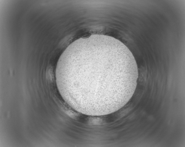 X0000078020287200611171921