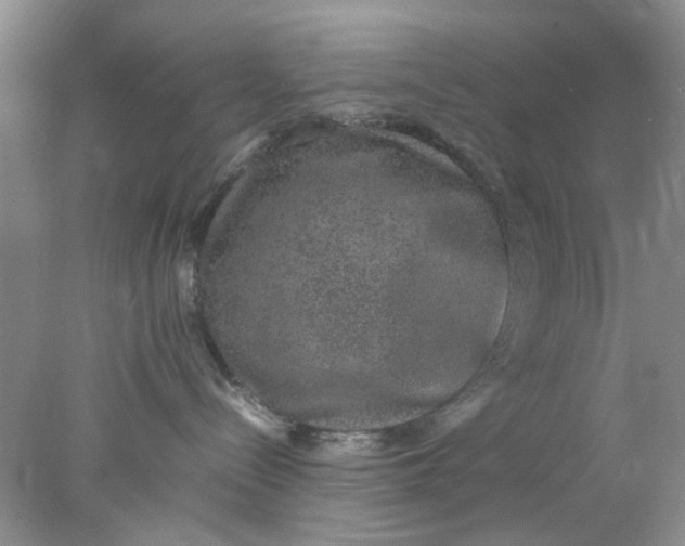 X0000078020288200611171921