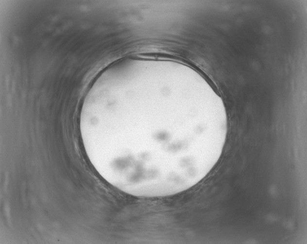 X0000078020289200611171920