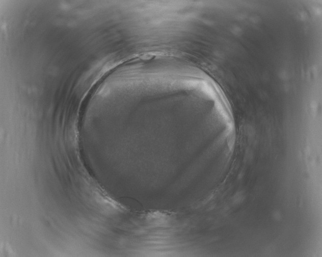 X0000078020290200611171920