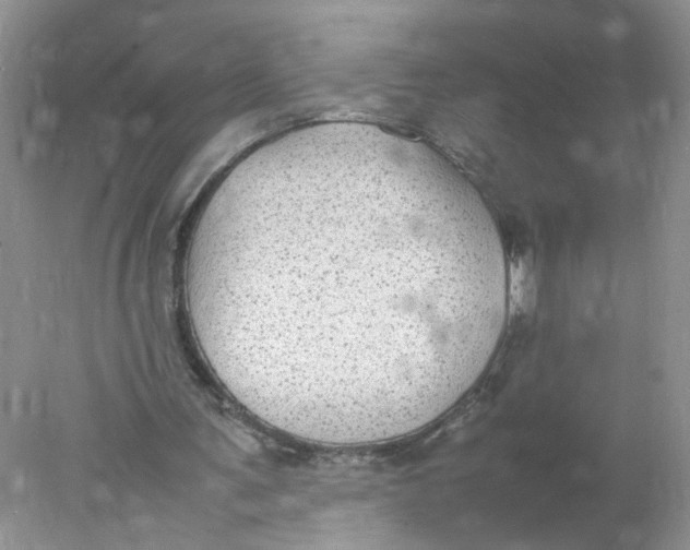 X0000078020291200611171920