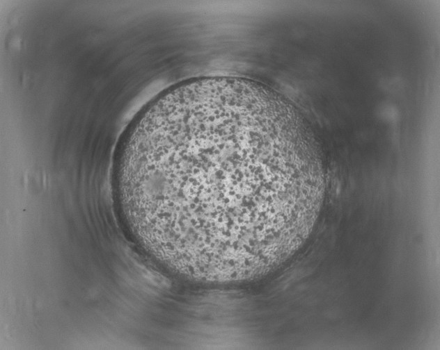 X0000078020292200611171920